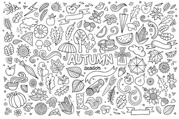 Obraz premium Sketchy vector hand drawn Doodle cartoon set of objects 