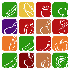 Collection of vegetables set. Vector illustration 