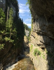 beautiful rocky gorges, Breitachklamm, Nature