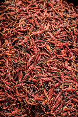 Fototapeta premium dried chilli