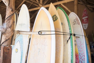 surfboards for rent at the beach