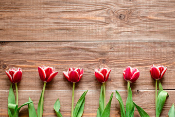Fototapeta na wymiar Border of red tulips. Flowers on wooden background. Copy spase.