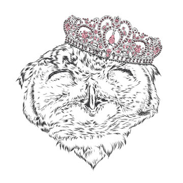 Funny owl wearing a crown. Vector illustration for greeting card, poster, or print on clothes. Hipster. Bird clothing. Fashion & Style.