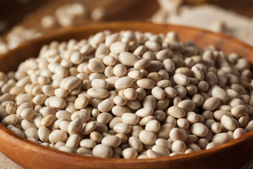 Raw Organic White Navy Beans