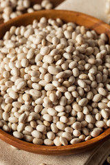 Raw Organic White Navy Beans