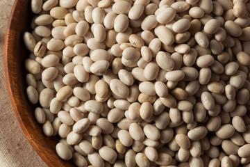 Raw Organic White Navy Beans