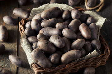 Raw Organic Purple Potatoes