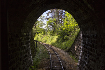 Fototapeta na wymiar Train in the forest