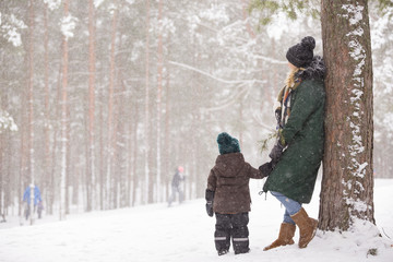 Mother and little toddler boy walking in the winter forest and having fun with snow. Family enjoying winter. Child and woman watching falling snow outdoors. Winter, Christmas and lifestyle concept.