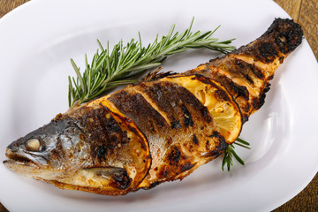 grilled trout