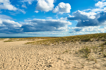 Sand dunes at Cape Cod