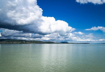 Honey Bee on Lavender Flower