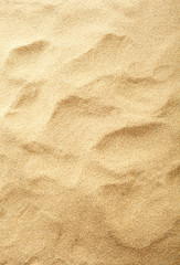 Naklejka na ściany i meble Obscured footsteps in sand