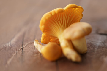 chanterelle mushrooms on wood table