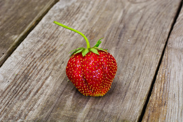 Tasty Sweet Strawberry Isolated on White Background