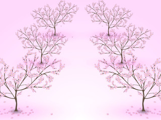 An alley of blossoming cherry trees on a pink background
