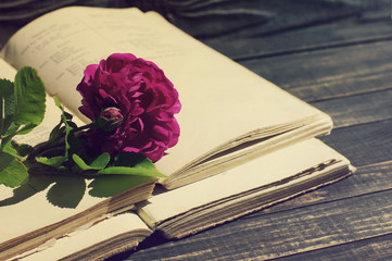 Garden pink roses and old books on a wooden surface