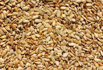 Sunflower seeds.  For texture or background