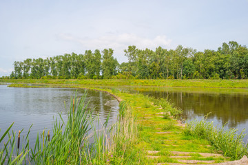 Fototapeta premium Corduroy road through a lake in summer