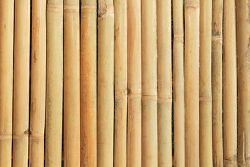 Bamboo wall texture or background