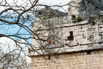 Ancient ruins at Chichen Itza