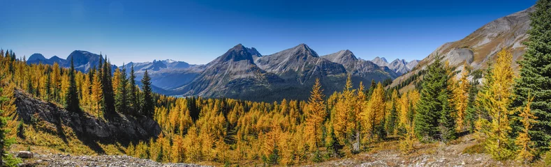 Tableaux ronds sur aluminium brossé Canada Beautiful mountain landscapes in Autumn