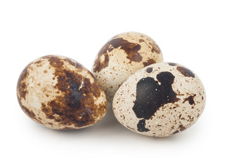 Obraz premium Quail eggs