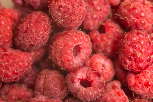 Fresh raspberries background