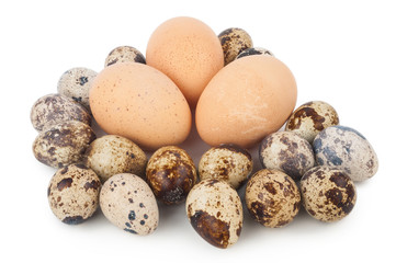 chicken eggs and quail eggs