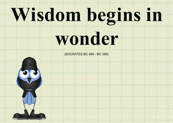 Wisdom begins in wonder ancient Greek quotation 