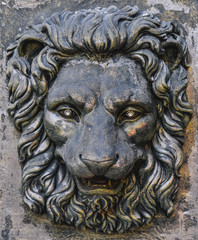 Fototapeta na wymiar Bronze lion head