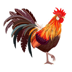 detailed lovely Cockerel for your design
