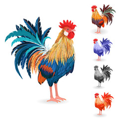collection of detailed lovely Cockerels for your design