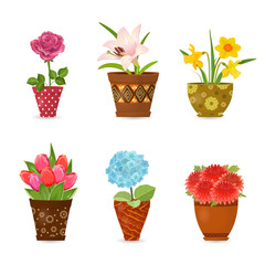 collection of colorful flowers planted in art floral pots for yo