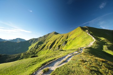 Obraz premium Trail to the peak in the Carpathian Mountains on the Slovak-Polish border