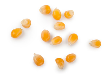 Corn seeds