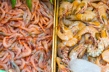 Different kinds of shrimps for sale at the Boqueria market in Barcelona