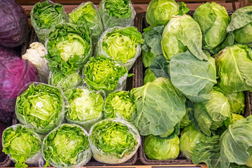 Salad and cabbage for sale at a market