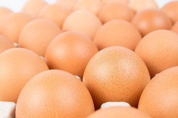close up row of fresh egg