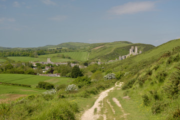 Fototapeta na wymiar Ridge path above Corfe Castle, Dorset