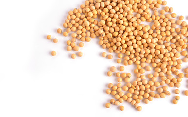 Soybean isolated on white