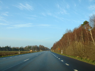 道路　空　秋
