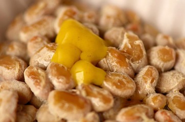 fermented soybeans