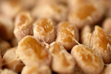 fermented soybeans