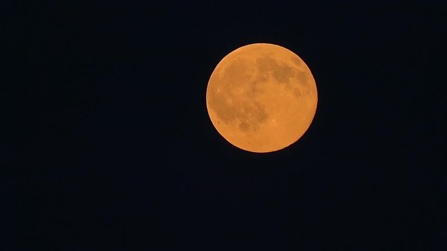 Taymlaps Orange Disc of the Moon Movement on Dark Blue Sky