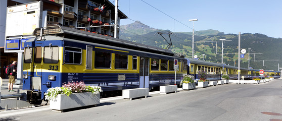 Narrow-gauge mountain railways, Zweilutschi