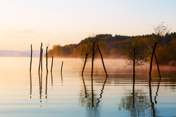 beautiful lake with mountains in the background at sunrise. Trees in water and morning fog.