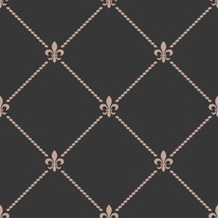 Fototapeta premium fleur de lis sign and rope, seamless pattern