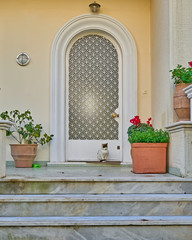 Fototapeta na wymiar cat and her elegant house entrance, Athens Greece