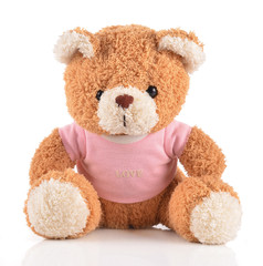 Teddy bear isolated on white